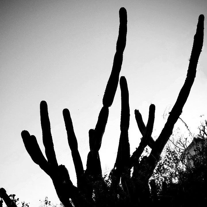 hemlock_heruのトーク