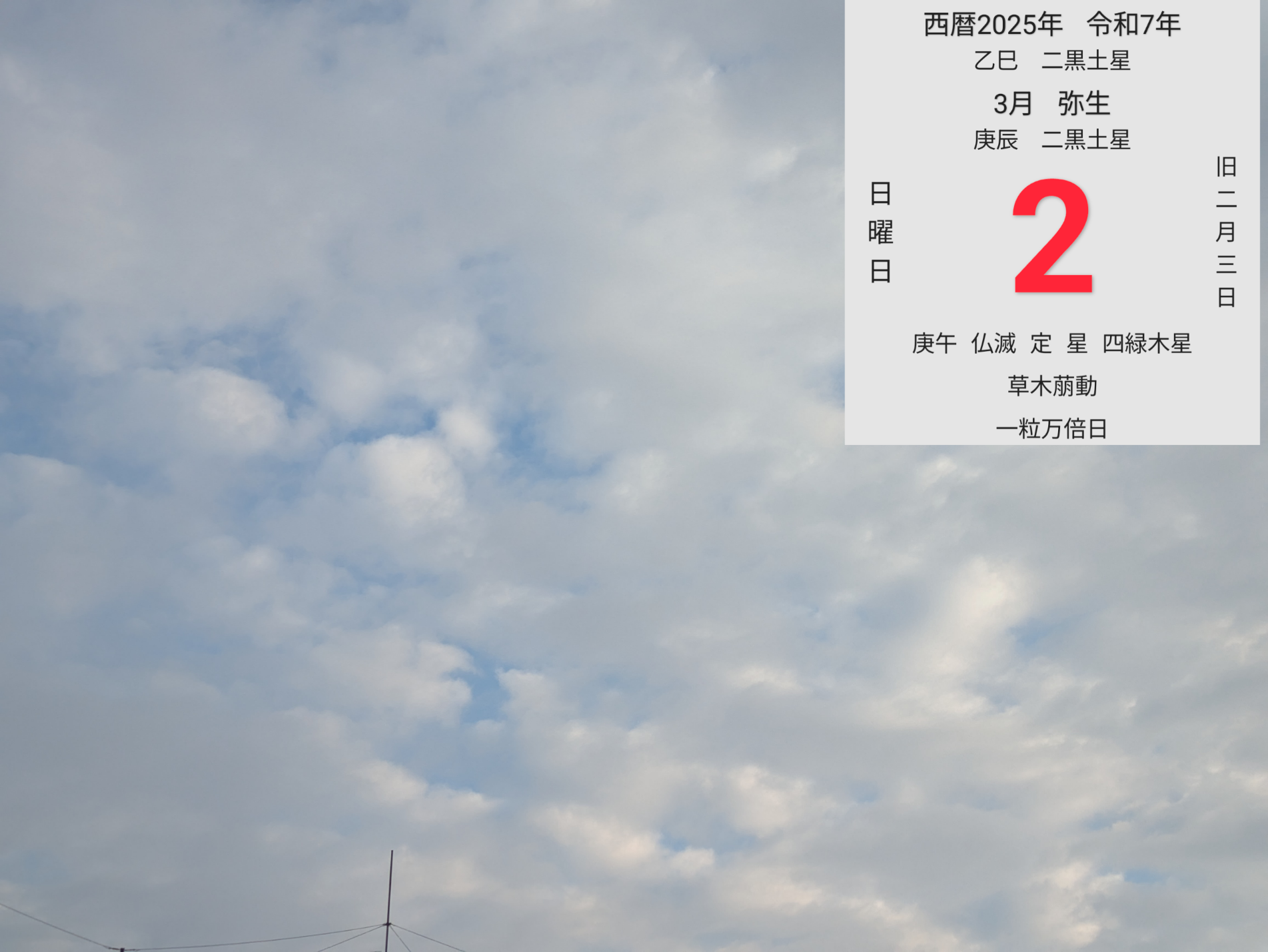 投稿画像