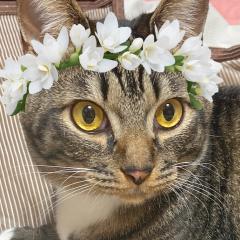 自己否定ランド