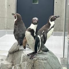 ﾀﾞﾀﾞﾀﾞﾀﾞﾀﾞﾀﾞﾀﾞﾀﾞﾀﾞﾀﾞﾀﾞﾀﾞﾀﾞﾀﾞﾀﾞ