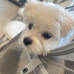 はるちゃん