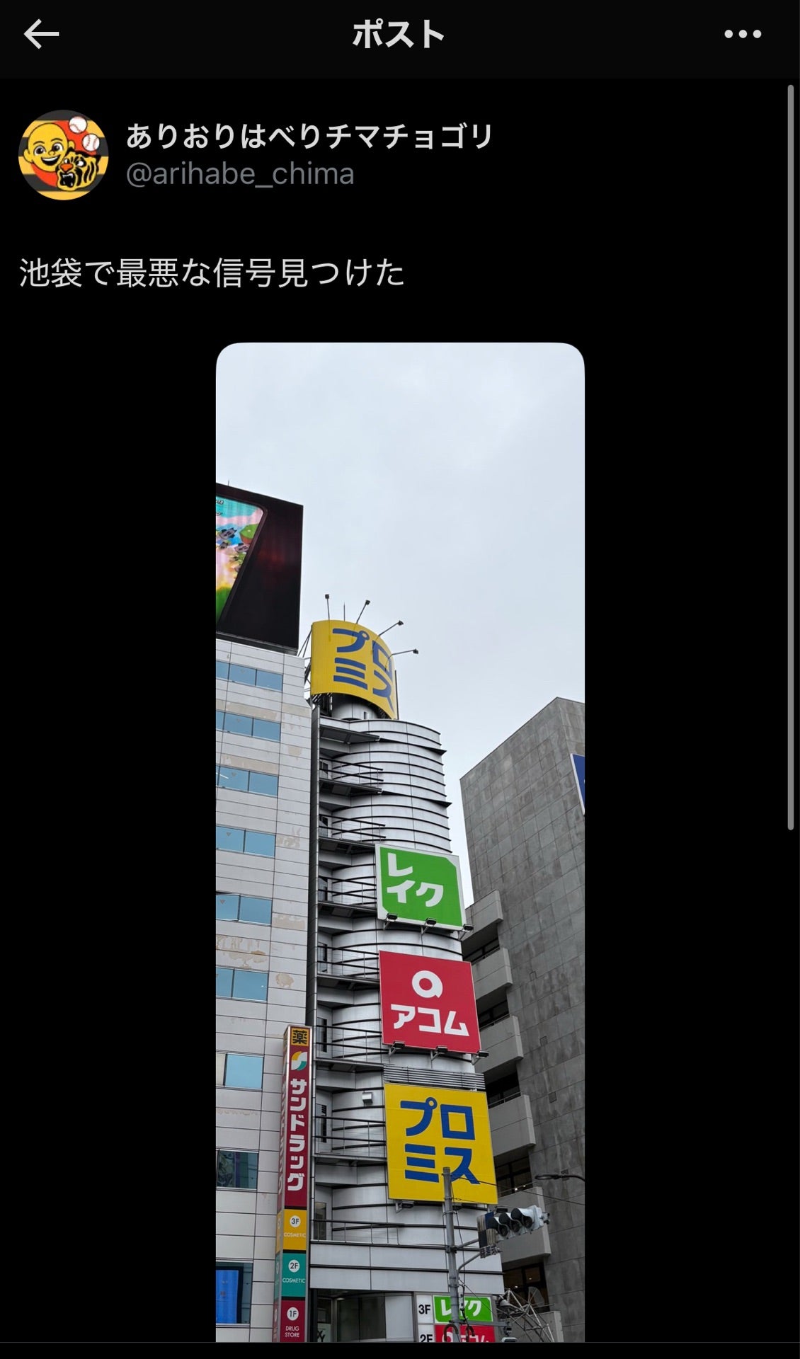 投稿画像