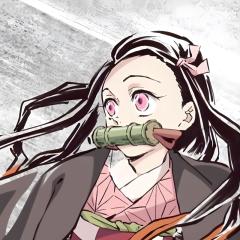 🔥🩸禰豆子🔥🩸の成りきり🔥🩸