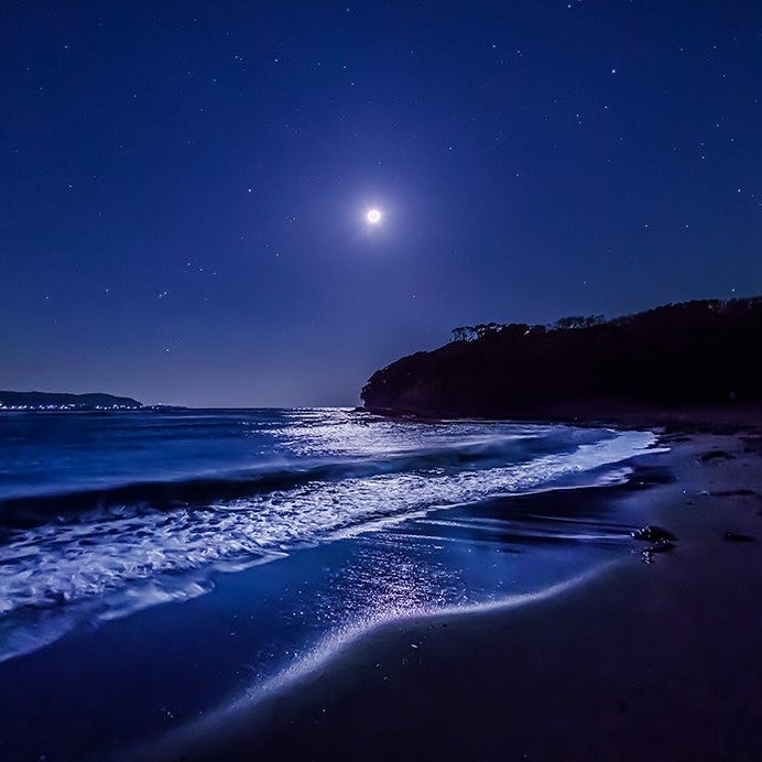 海🌊