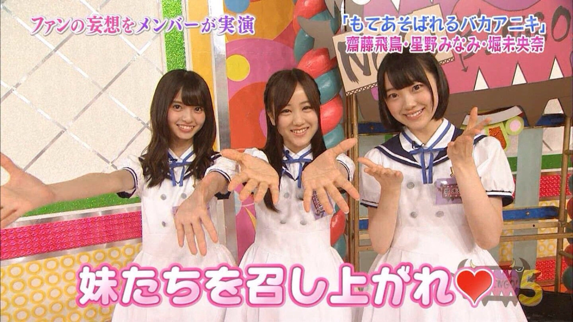 乃木坂って,どこ? 押しどこ DVD全14巻＋真夏の全国ツアー2015DVD