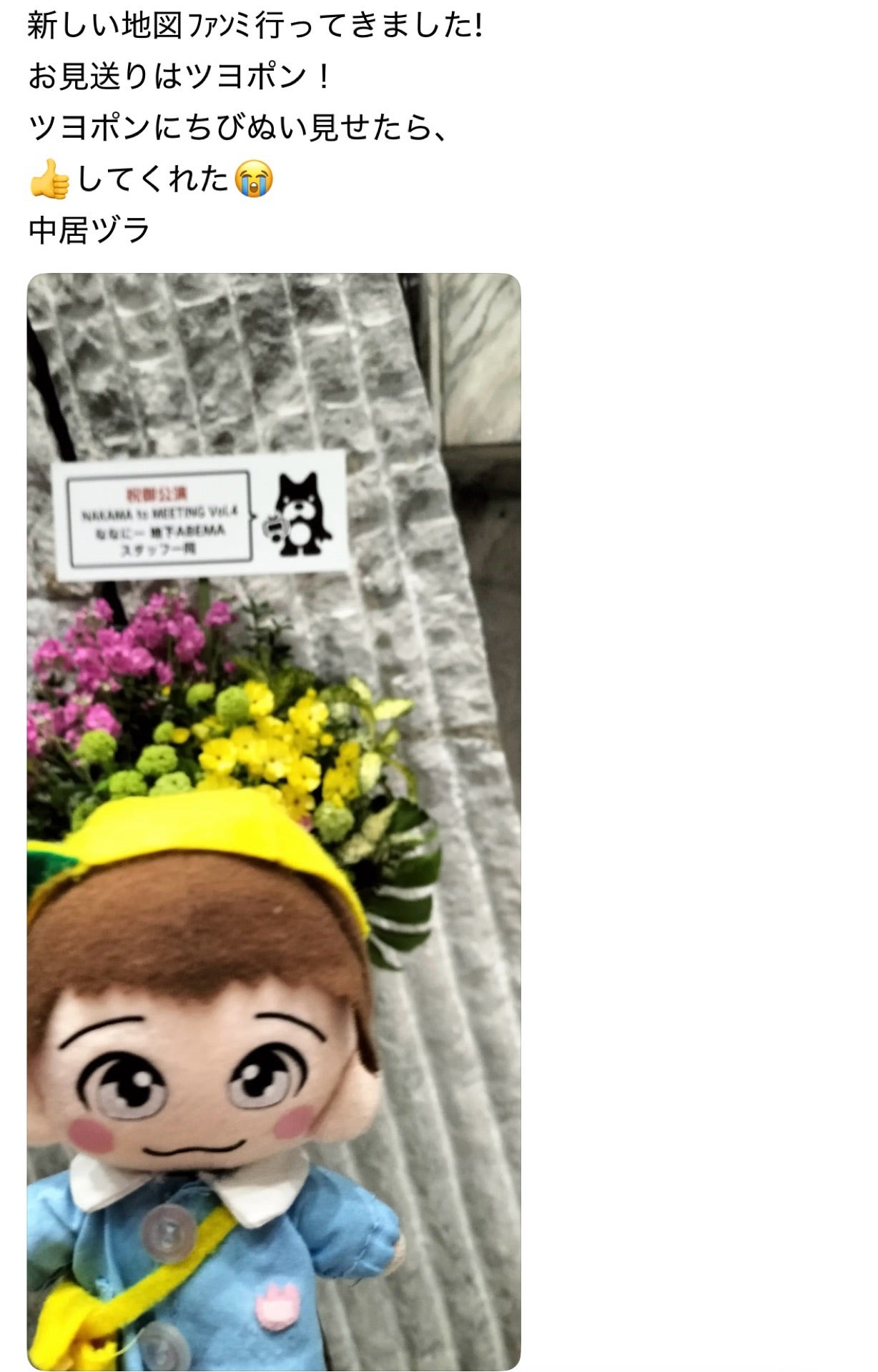 投稿画像