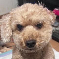 獣医学部受験生