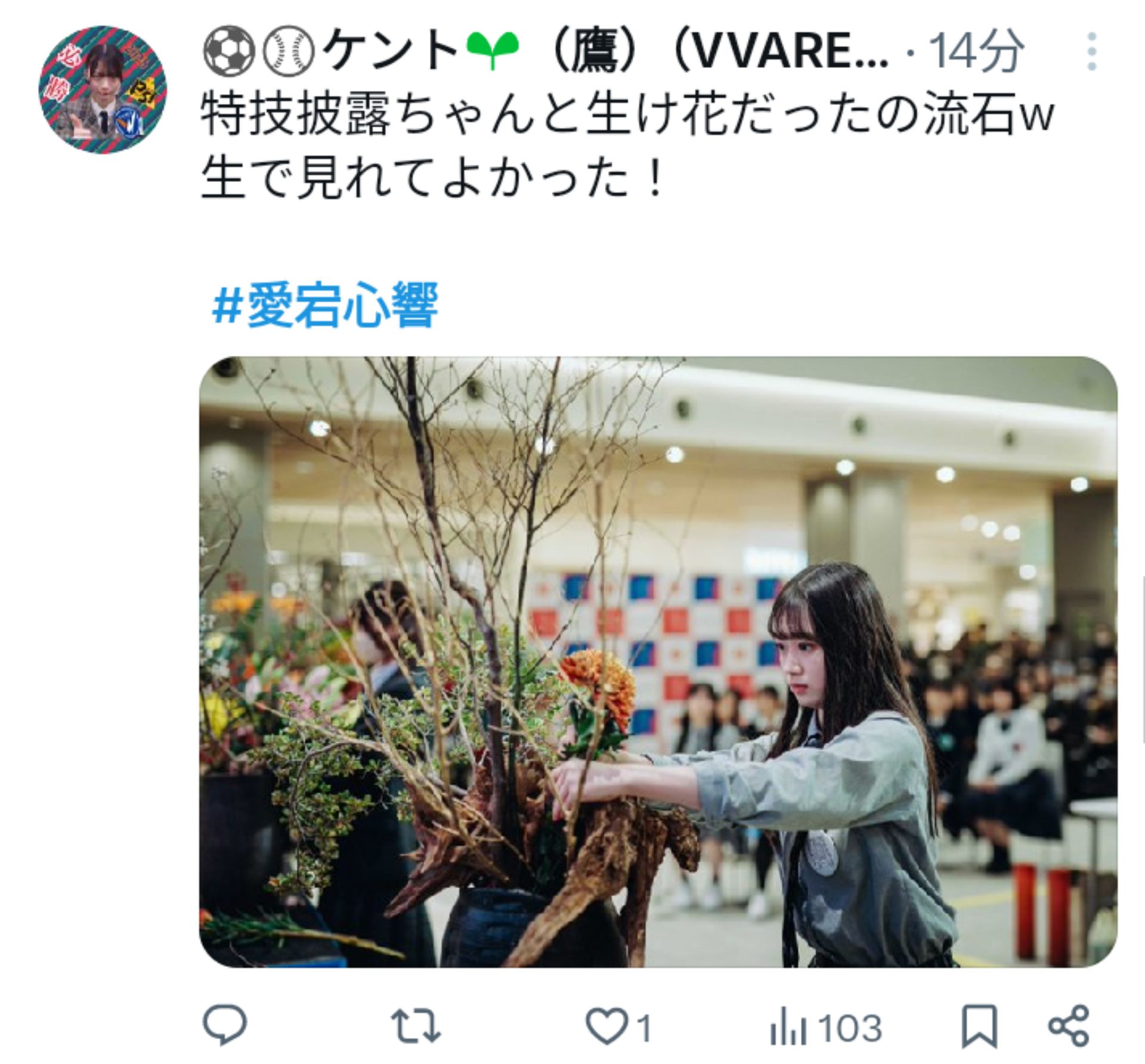 投稿画像