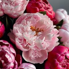 🍯カトリーヌ🍯のトーク