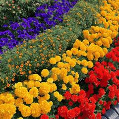 あかりのトーク