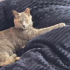 聞いて欲しい曲