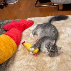 ちゅん