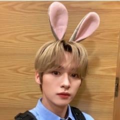 리노의 방🇰🇷