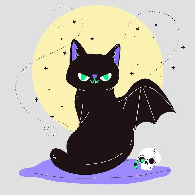 黒猫🐈⬛