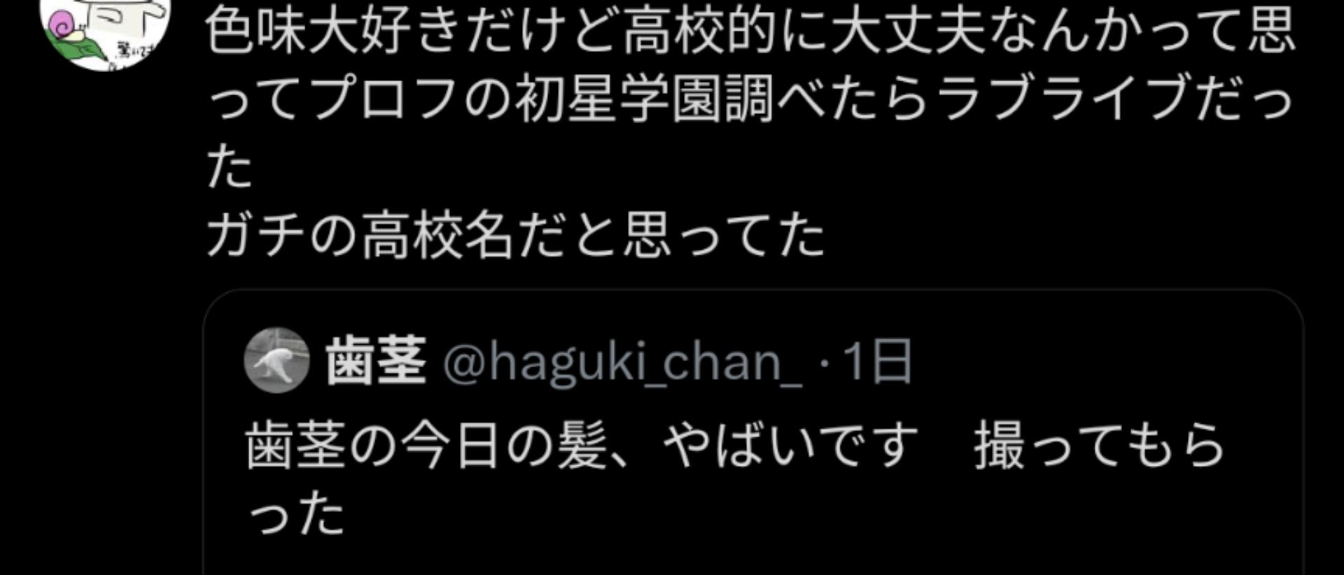 投稿画像