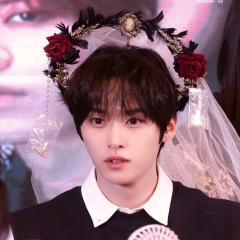 ︎︎                🐰