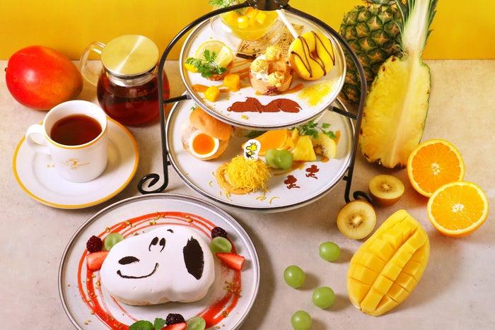 ニュース画像