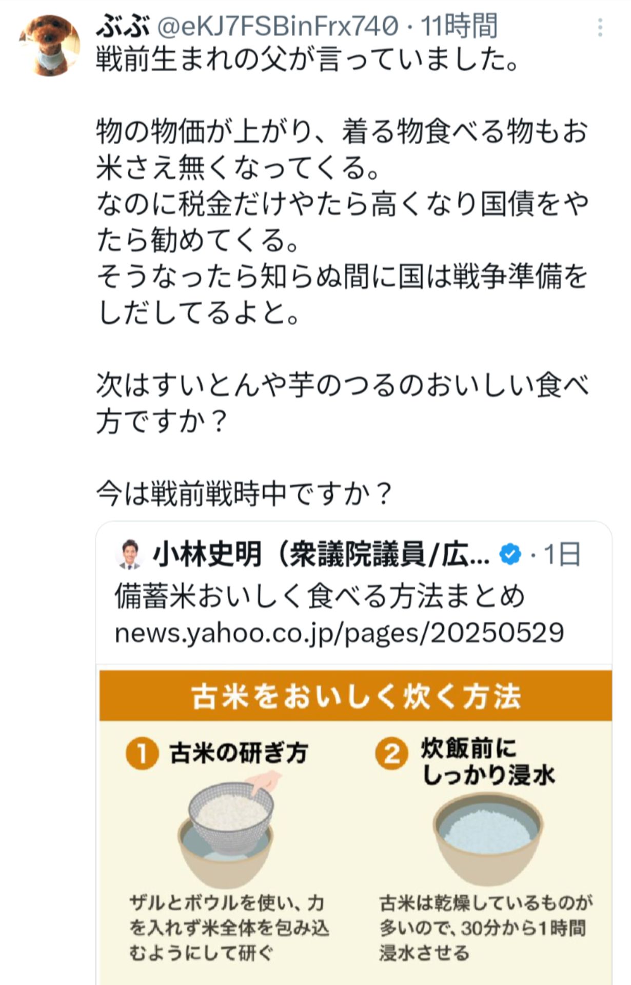 投稿画像