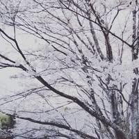 藤川真人