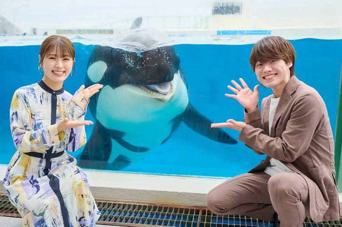 ニュース画像