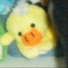 ヤカ୨୧