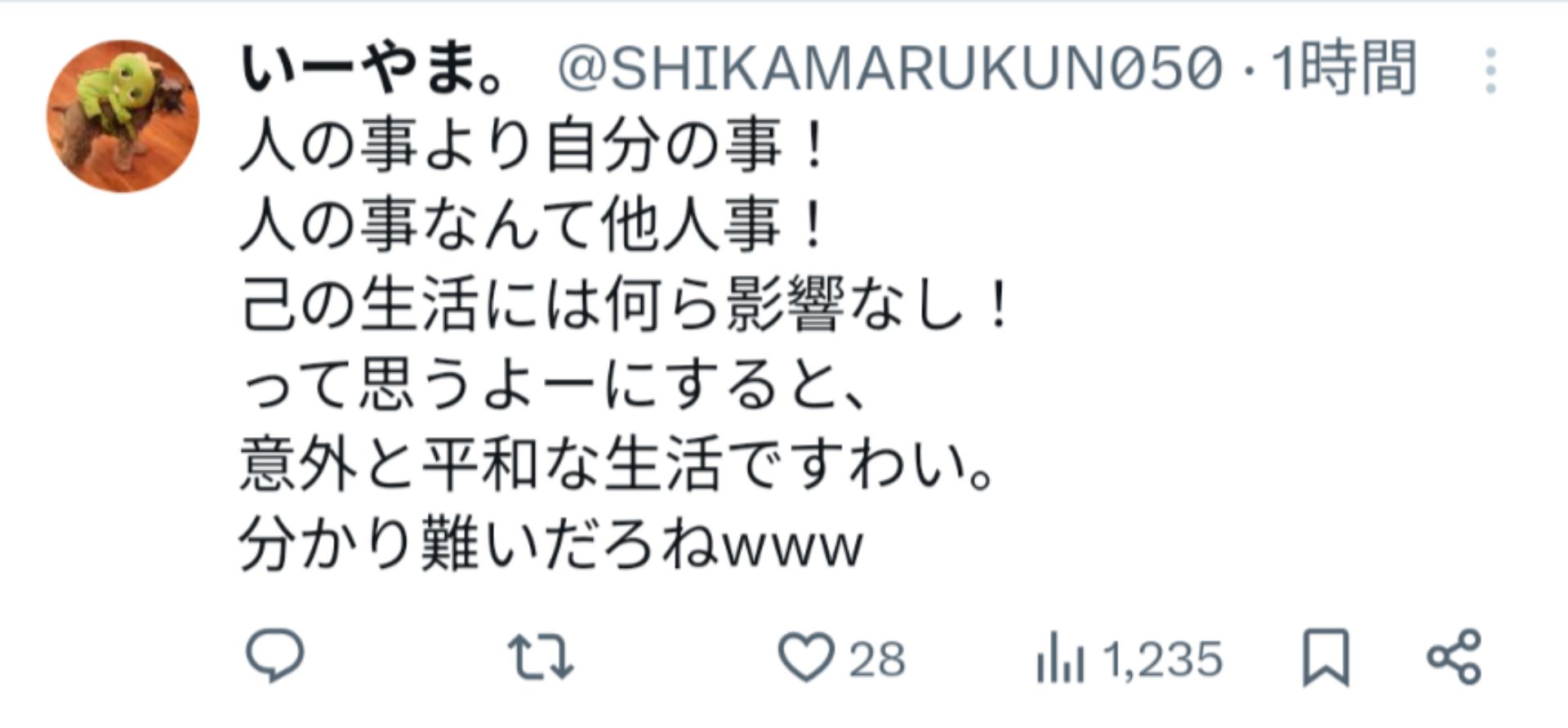 投稿画像