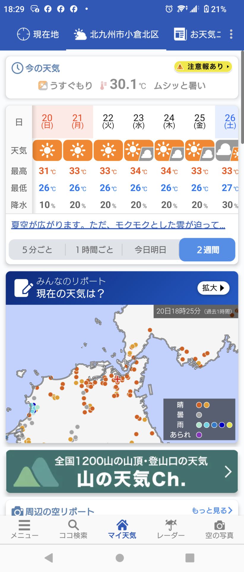 投稿画像