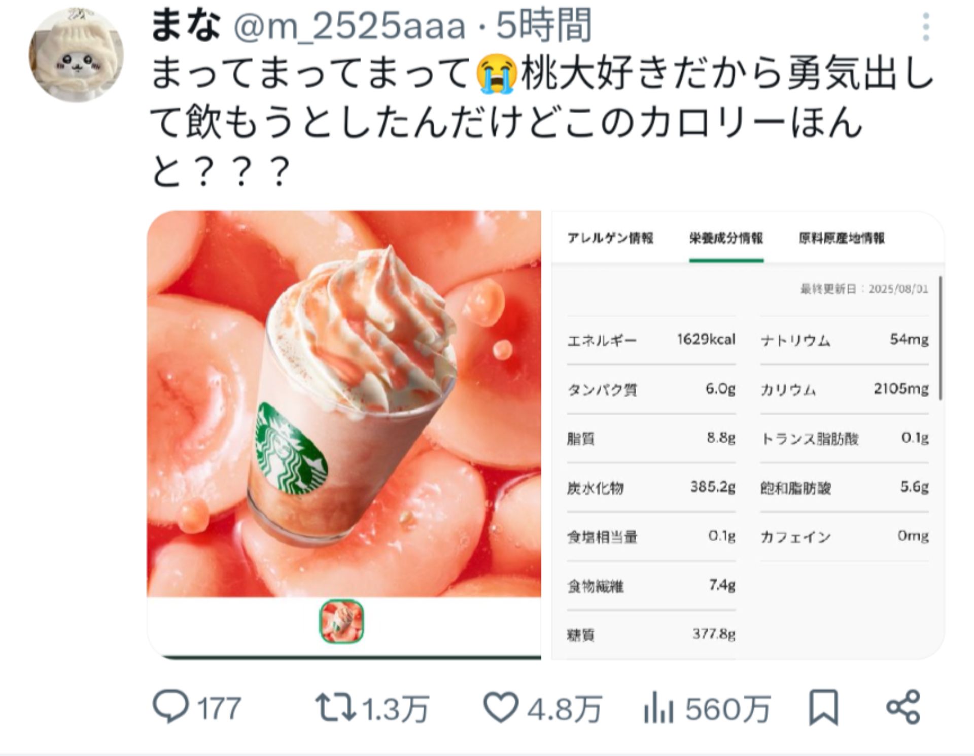 投稿画像