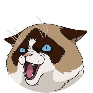ゆきち