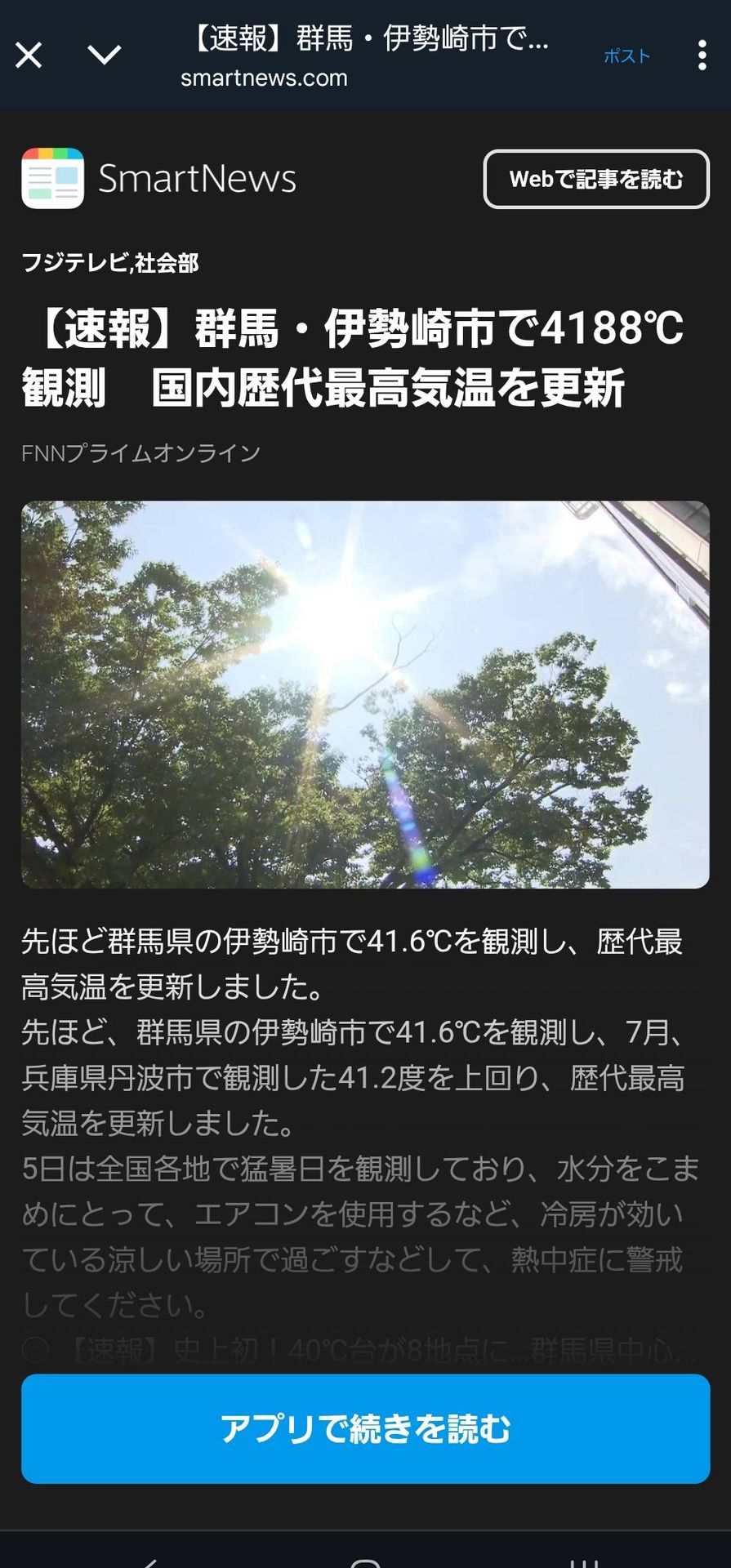 投稿画像