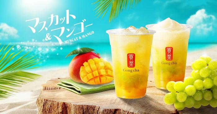 ニュース画像