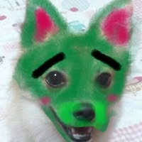 とよ  たく