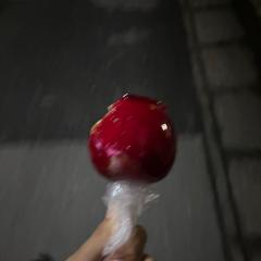 ユユウシ