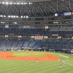 侍ハイボール