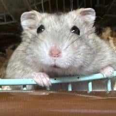 のんびり寄っててね😊