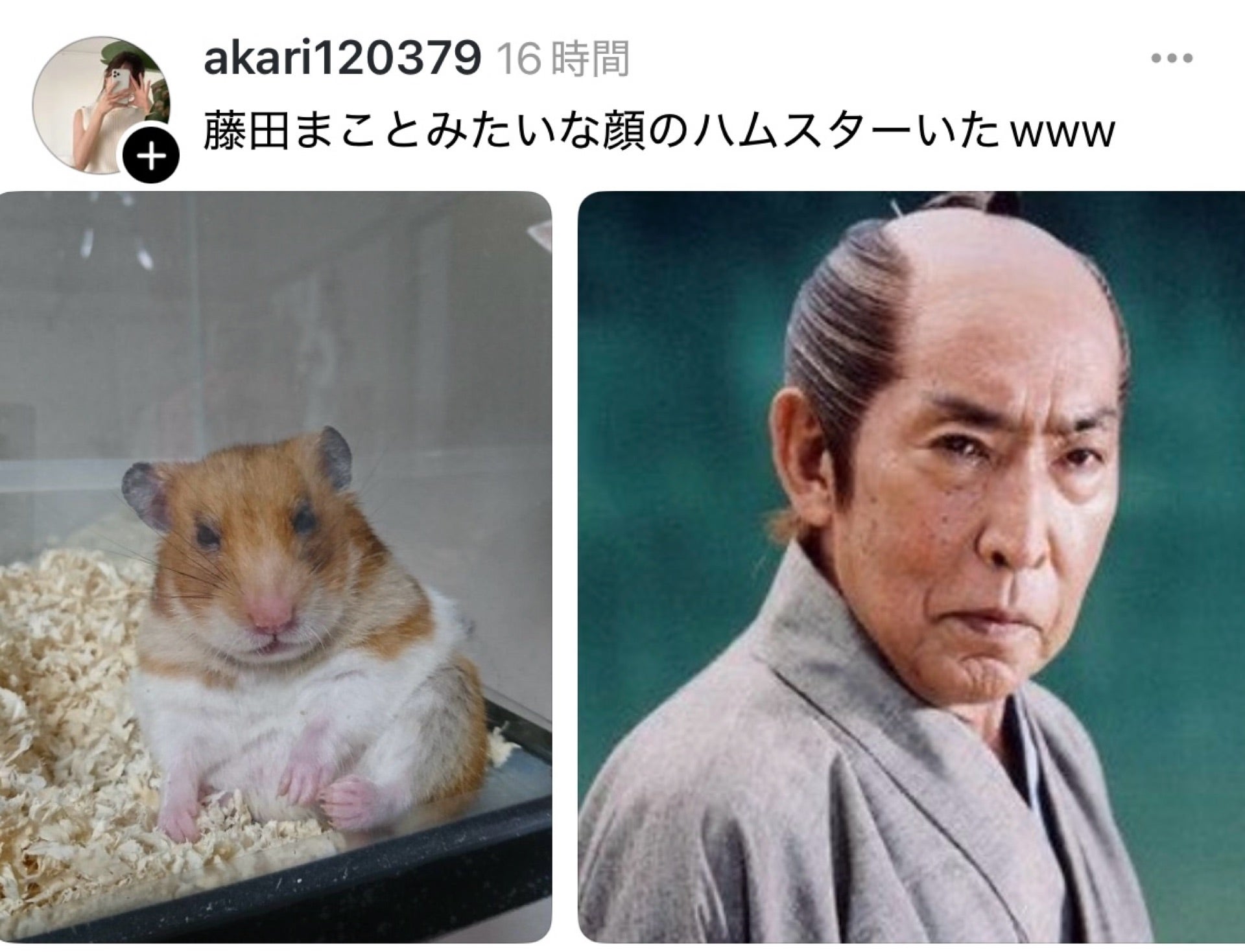 投稿画像