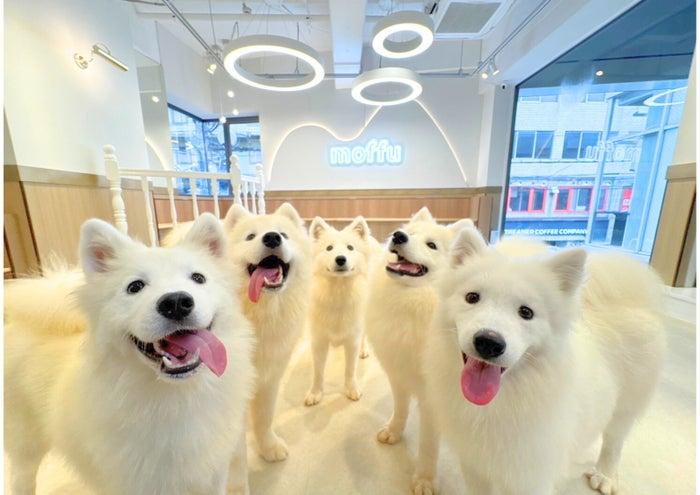 ニュース画像