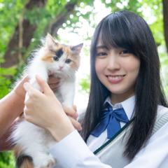 アメ 乃木坂箱推し