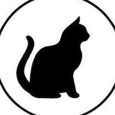 野良猫ペルシャ