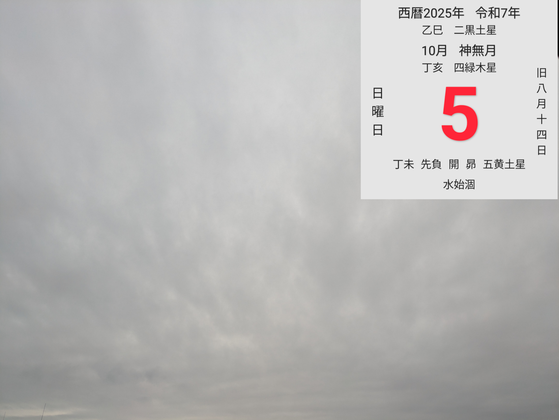 投稿画像