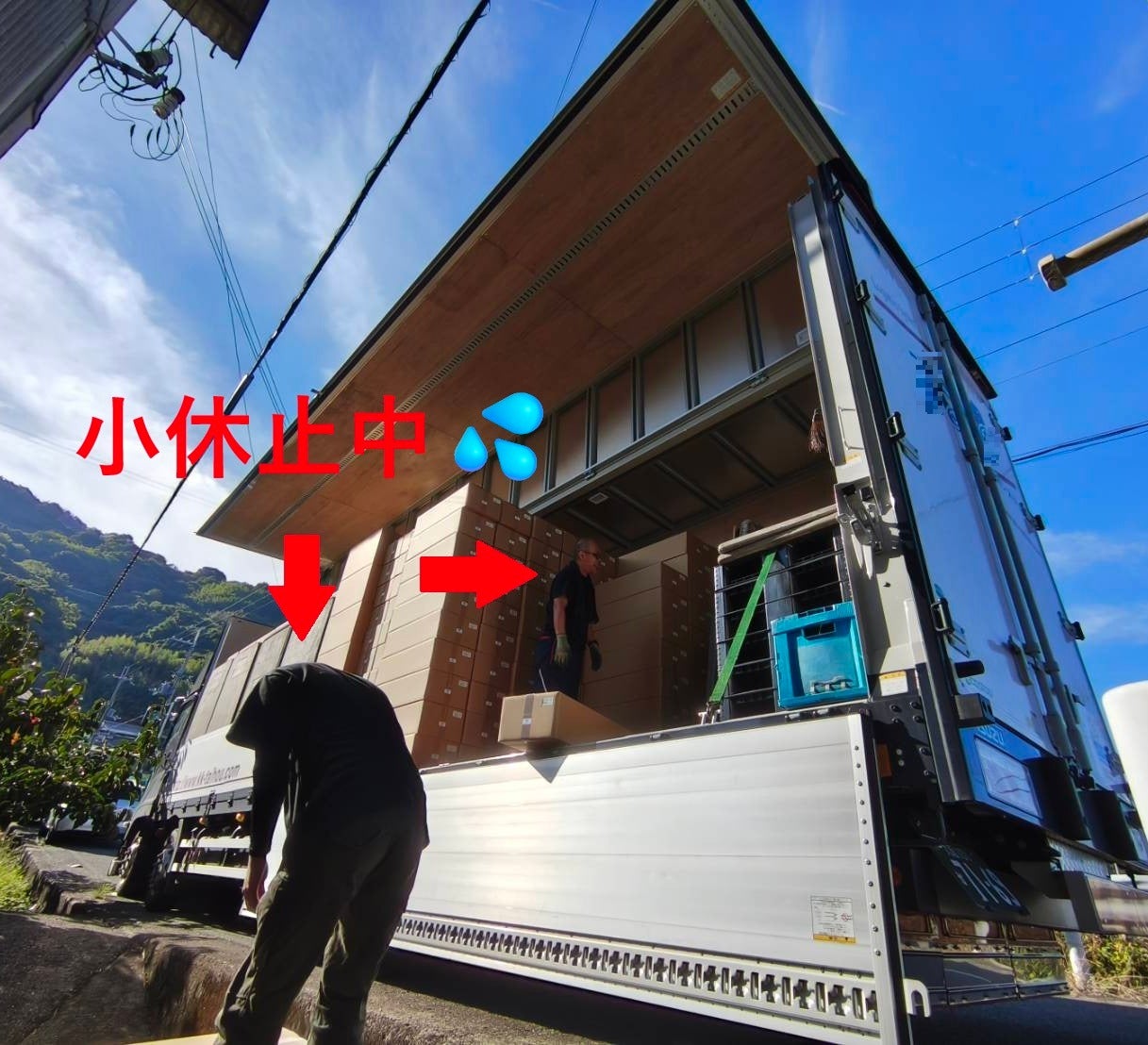 投稿画像