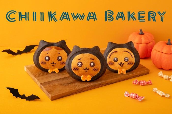 ニュース画像