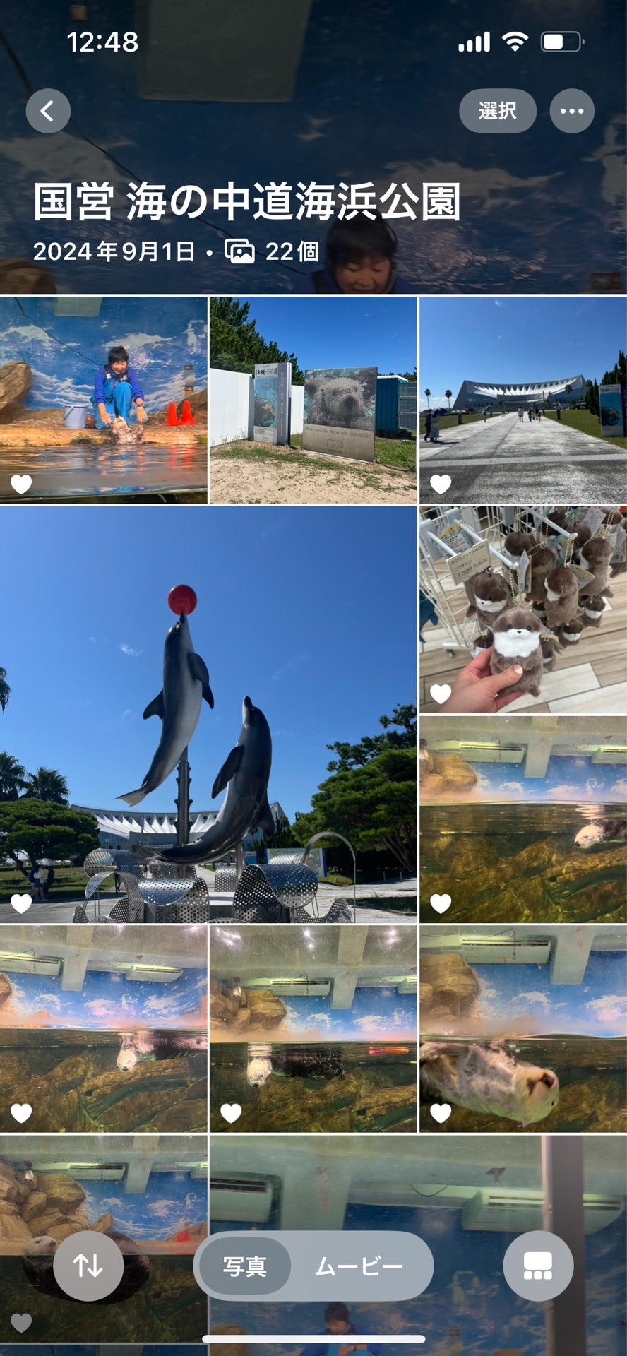 投稿画像