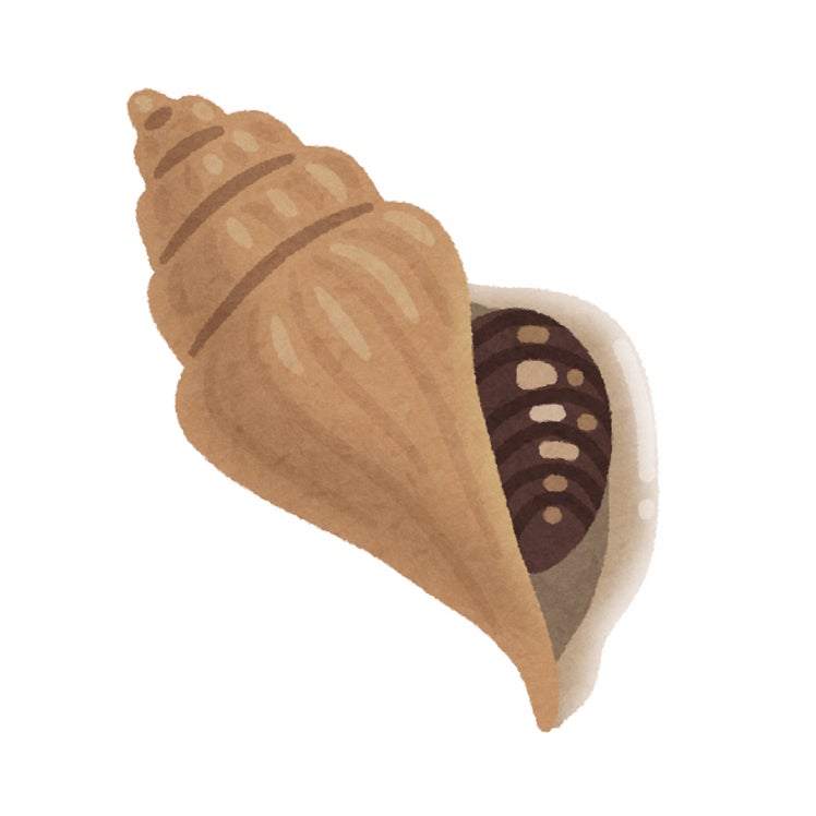 つぶ貝