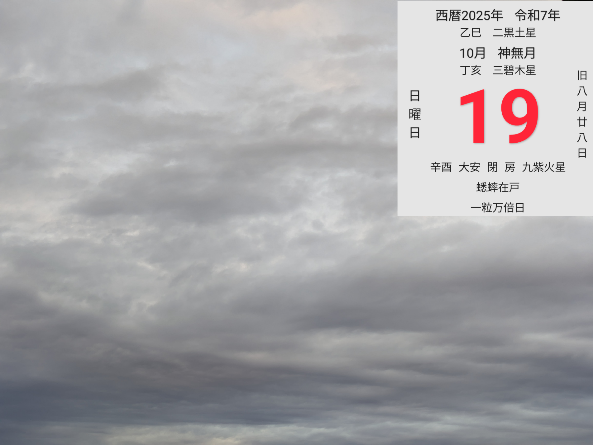 投稿画像