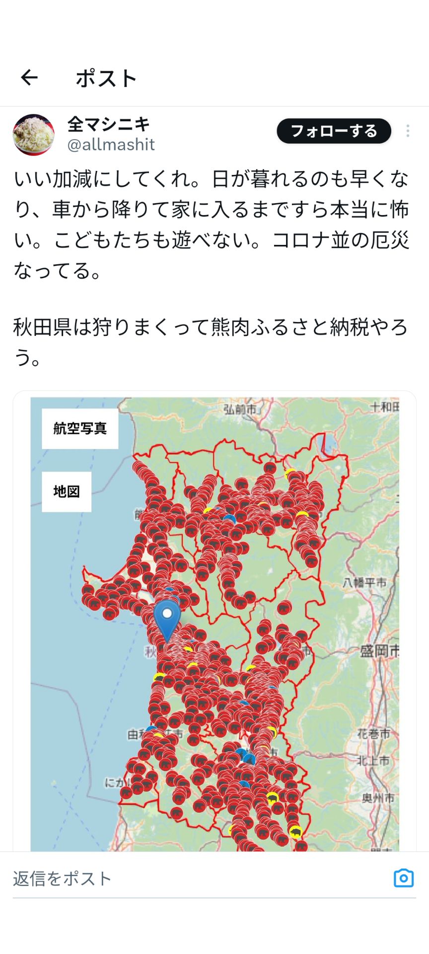 投稿画像