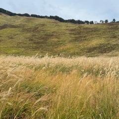 のんびり寄っててね😊