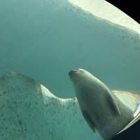 タカハシ ミエのトーク