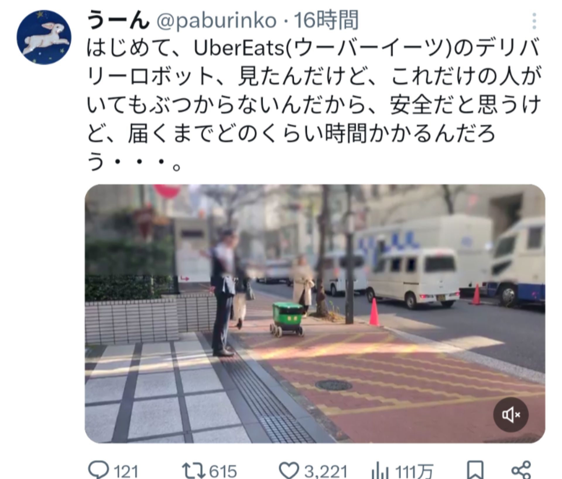 投稿画像