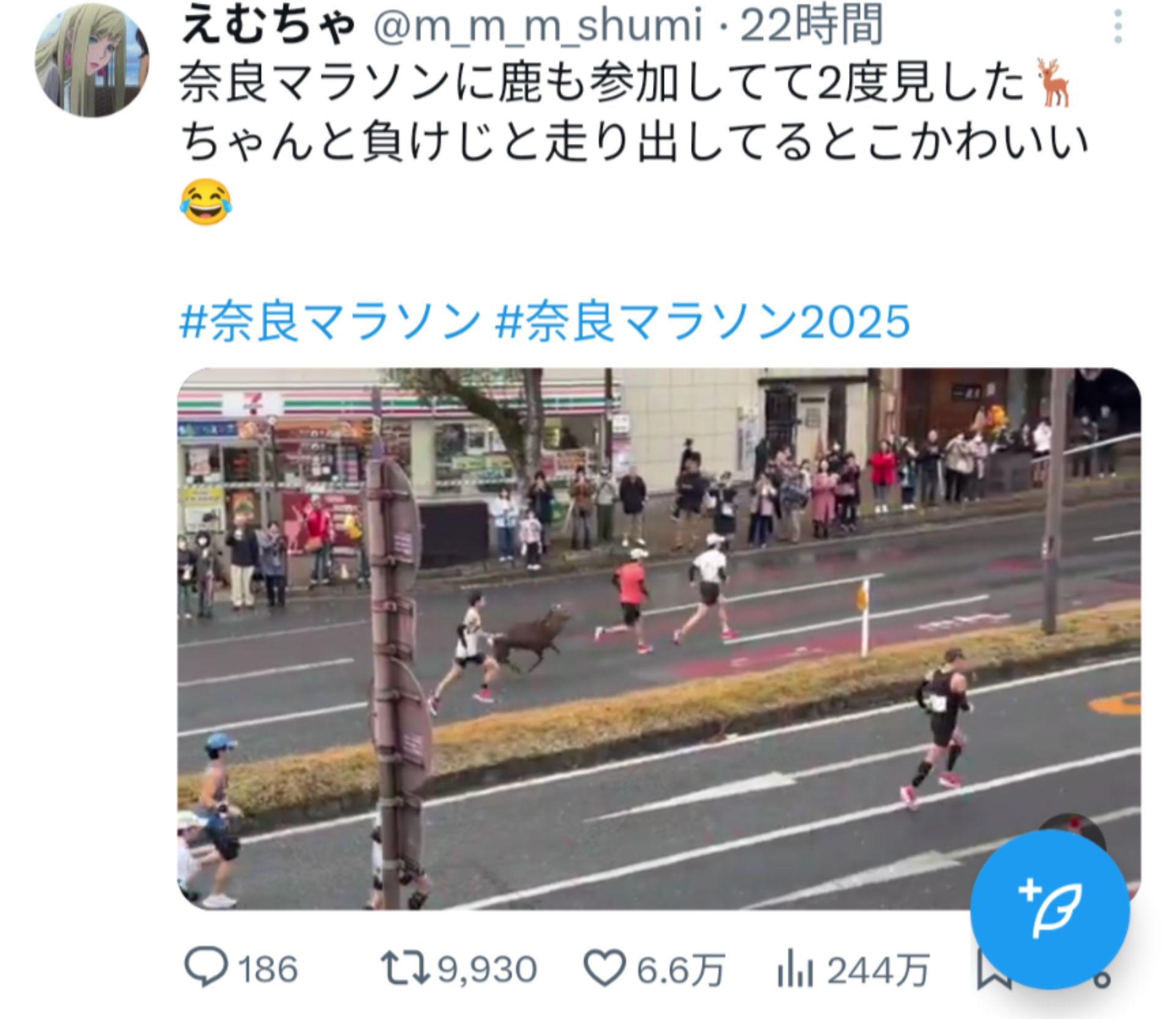 投稿画像